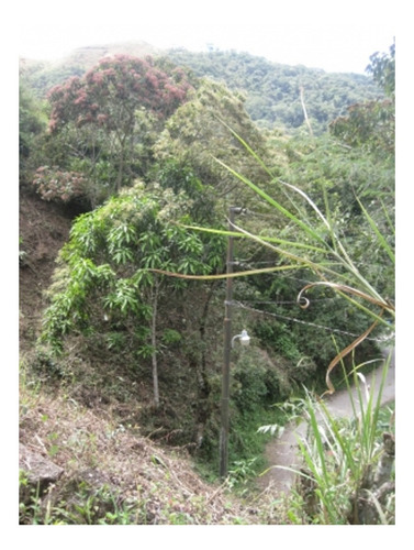 Imagen 7 de 9 de Se Vende Terreno 410m2 El Hatillo 0907