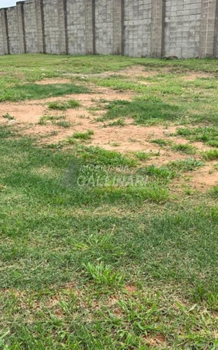 Imagem 12 de 21 de Terreno À Venda Em Swiss Park - Te002773