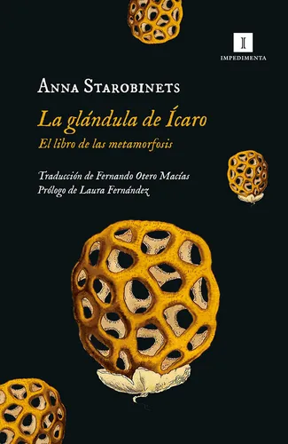 La Glandula De Icaro - Anna Starobinets