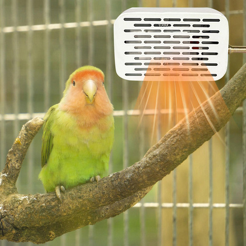Lámpara De Calor Para Pájaros Con Pantalla Para Ranas, .