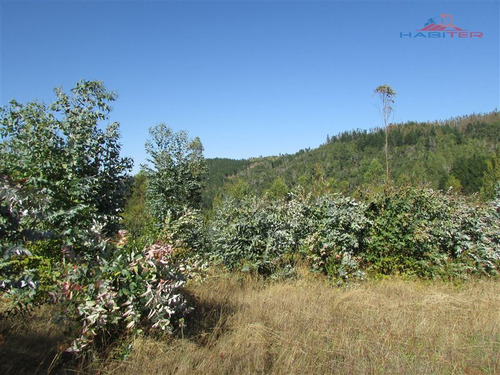 Imagen 5 de 10 de Agrícola En Venta En Traiguén