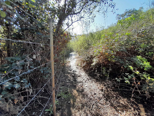 Visite 3 Opciones De Parcelas En Los Laureles (171106)
