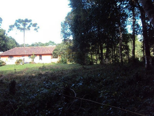 Chácara A Venda No Bairro Borda Do Campo Em São José Dos - 5186-1