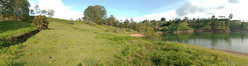 Lote En Venta El Peñol Antioquia 20.000 M2 Acceso A La Represa