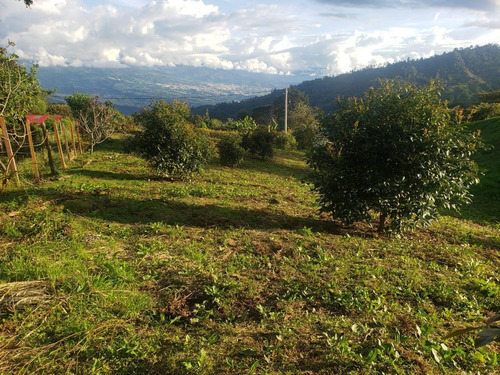 Imagen 19 de 29 de Vendo Finca En Subía Silvania 28.000 M2
