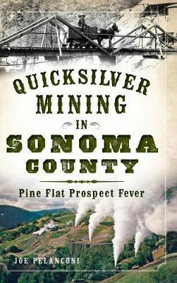 Libro Quicksilver Mining In Sonoma County : Pine Flat Pro...