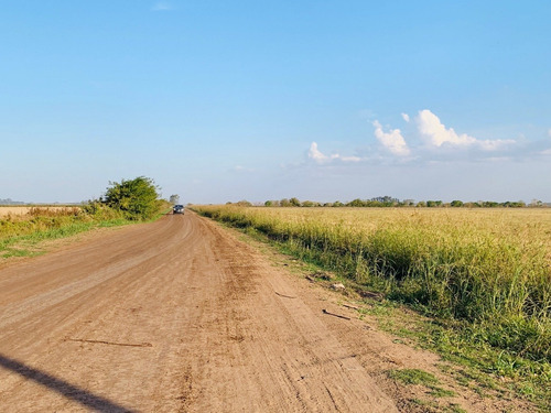 Venta - Terreno En Ricardone - 300 M2
