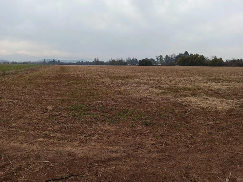 Terreno Agrícola En Venta, Campo De 21 Ha, San Clemente