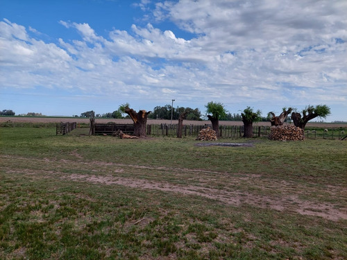 Campo Mixto Con Mejoras