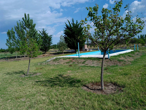 Finca Con Dos Propiedades Y Produccion En General Alvear