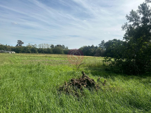 Terreno En Venta En Barrio Zorzal, Loma Verde, Escobar