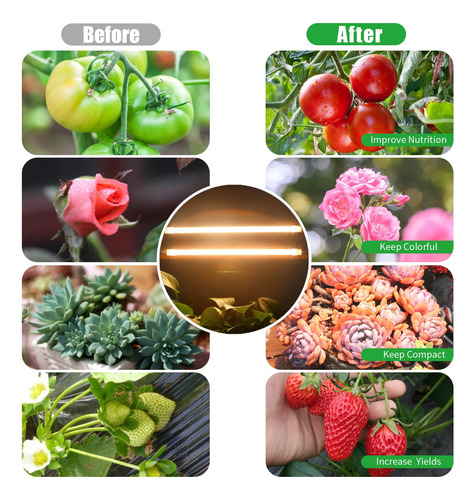 Lámpara Led De Cultivo Rentao 3000 K De Espectro Completo, P