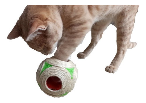 Pelota Juguete Para Gatos Curiosos - Mascotas