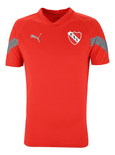 Imagen 1 de 3 de Remera Puma Futbol Independiente 23 Hombre Rj Go