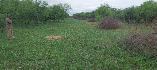 Campo Ganader0 De Cria-la Criolla-santa Fe