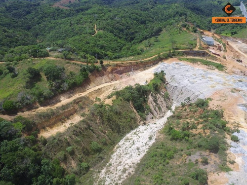 Imagem 7 de 8 de Terreno Em Simões Filho - Te00311 - 34790936
