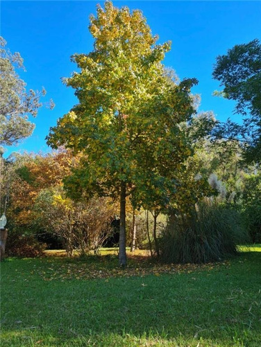 Imagen 5 de 17 de Propiedades Rurales Agricola - Venta