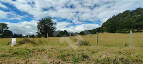 Sitio - 5.000 M2 Cada Uno - Cascadas - Puerto Octay