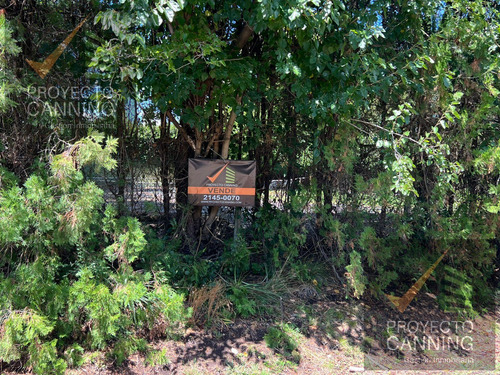 Lote Terreno En Venta Los Rosales Con Escritura
