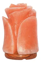 Comprar Lampara De Sal Himalaya Lamparas De Sal Decorativa Flor