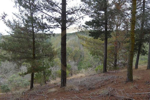 Terreno Tunquén: Naturaleza Y Vista Al Mar