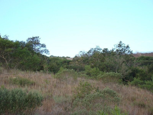 Imagen 6 de 15 de Chacra En Abra De Perdomo, Maldonado