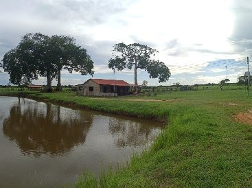 Imagen 3 de 9 de Se Vende Finca Via Al Sur A 10min Del C.c La Cascada Ve01-0939zs-mf