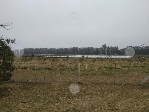 Imagen 19 de 25 de Terreno Campo En Venta En Berazategui, G.b.a. Zona Sur, Argentina
