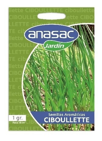 Semilla Ciboulette Anasac Sobre 1 Gr