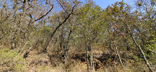 Terreno En Venta En Escobar, Mineral Del Monte
