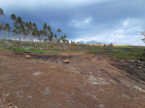 Imagem 2 de 14 de Vendo Terrenos - 1000m² Proximo A Represa Itupararanga