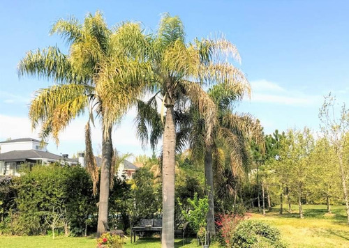 Imagen 10 de 30 de Lindísima Casa Al Bosque - En Venta - Castores Nordelta - Bajó De Precio!