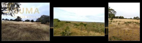 Imagen 3 de 6 de Terreno - Ejido Magiscatzin