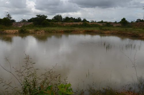 Imagen 13 de 28 de Se Vende Linda Finca En Oritupano