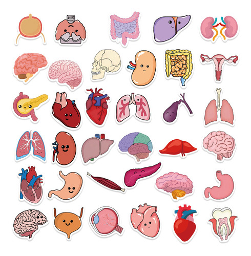 Adesivos De Órgão De Desenhos Animados Para Crianças Calcoma