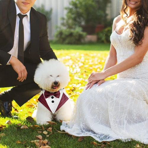 Pañuelo Con Pajarita Para Perro, Collar De Esmoquin Formal A