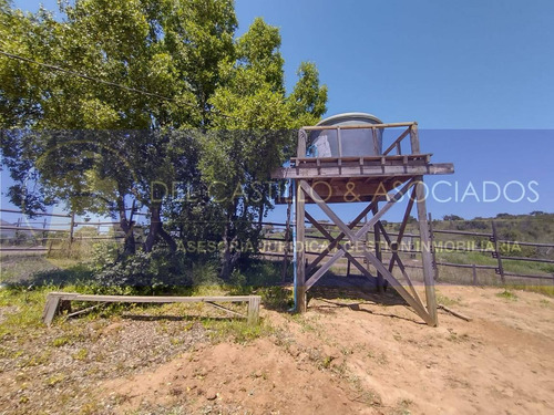Venta Parcela En Valle Alegre Puchuncavi V Region