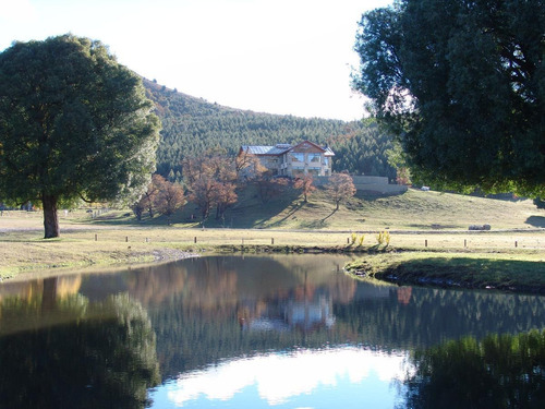 Imagen 17 de 19 de Departamento 2 Amb - Club De Campo Estancia Los Ñires - San Martín De Los Andes