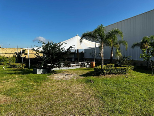Nave Industrial En Renta En San Isidro Mazatepec