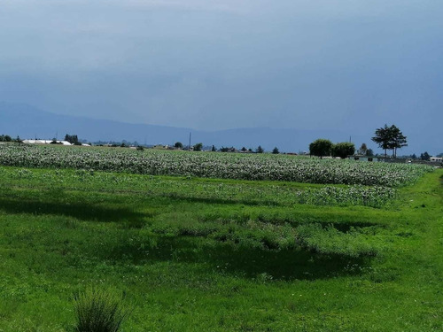 Imagen 2 de 5 de A 15 Min De Ixtlahuaca A Pie De Carretera Jocotitlan San Bartolo Del Llano