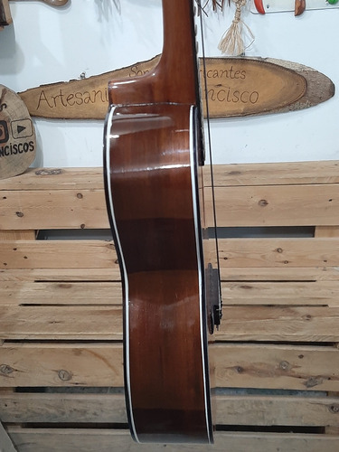 Imagen 5 de 6 de Ukelele De Concierto Profesional Con Su Forro Protector