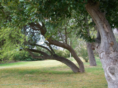 Imagen 27 de 30 de Venta - Finca - Cañada Seca Retasada