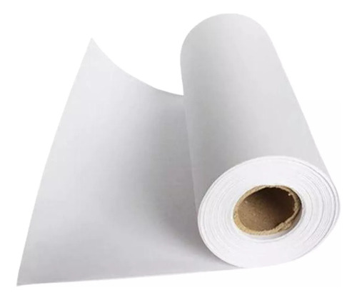 Papel Sublimación 1 Rollo 12' X 100 Mtrs 120grs Fexte Color Blanco