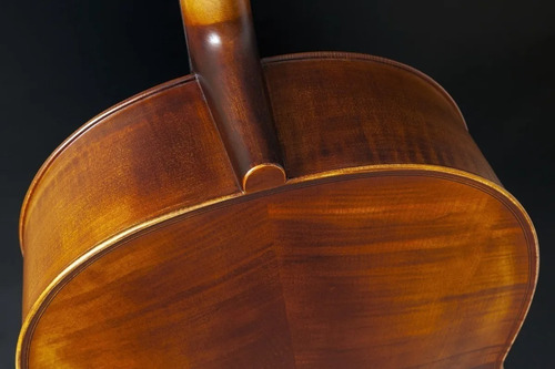 Violon Cello 4/4 Eagle Ce-210 C/arco Breu E Bag Shop Guitar