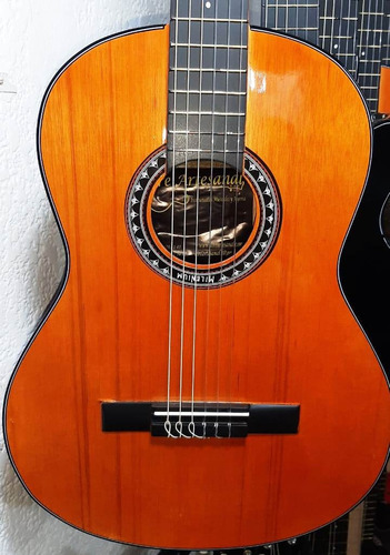 Guitarra Acustica Afinador Electronico Forro Púa Garantia