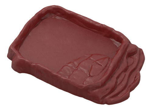 Plato De Agua De Rampa De Reptiles Plato De Agua Hábitat L