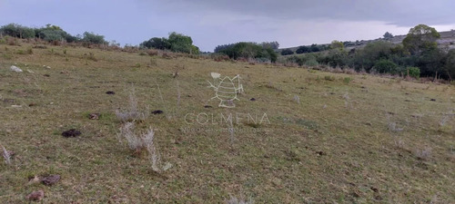 Campo En Carape Son 42 Hs 2293 M2