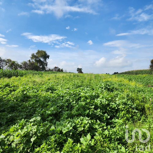 Venta Terreno 0 Ambiente San Antonio Zoyatzingo