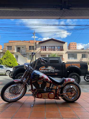 Imagen 17 de 17 de Harley Davidson Softail Custom