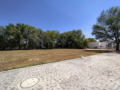 Imagen 6 de 10 de Terreno En Venta En Atlixco